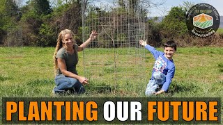 Plant & Protect FRUIT TREES to feed our family