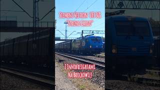 SIEMENS VECTRON "STRONG CARGO" 193 368 NA BROCHOWIE!