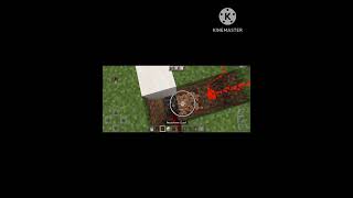 password door in Minecraft #ytshorts #shorts video