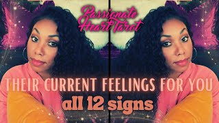 ✨💖 Their Current Feelings For You! ✧ All 12 Signs - Time Stamped 💖✨