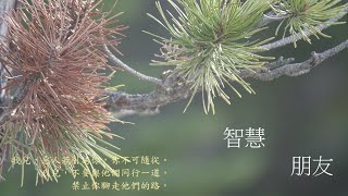 靈修:智慧-朋友 20240813 (潮語讀經版)