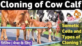 Cloning | Cloned Cow Calf : Ganga | Sometic cells | Samrupa | Garima | NDRI : Karnal @SimpleCSE