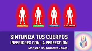 Sintoniza tus cuerpos inferiores con la perfección - Jesús | Sabiduría Divina