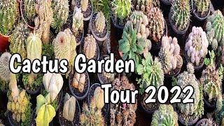 CACTUS Garden TOUR 2022 // ORNAMENTAL plants