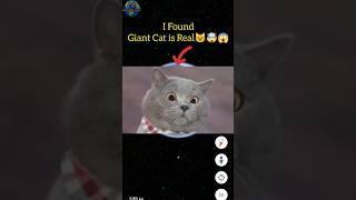 I Found Giant Cat is Real😺🤯😱On Google Earth #shorts #googleearth #google #googlemaps #youtubeshorts