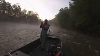 Stripers in heavy current on the Fly Rod