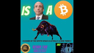 I sGary Gensler secretly a Bitcoin BULL!!! Akoin ready to change Kenya forever.