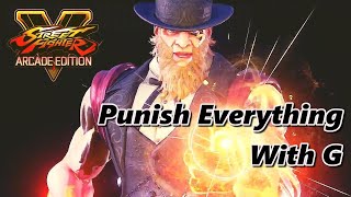 SFV Punish Everything with G (part 1)