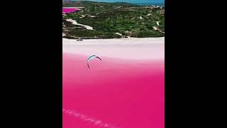 Lake Hillier : Bubblegum Pink Lake Australia