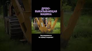 Древовыкапывающая машина #shorts