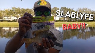 Big Bluegill Fishing with Bobby Garland itty bitty swimmer jigs.