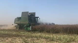 John Deere S690i working test in rapeseed