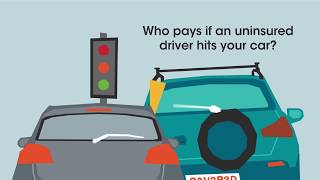 Swinton Insurance's Guide: What To Do If Your Car Is Hit By An Uninsured Driver