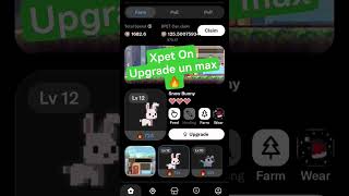 #xpet J'upgrade un max mon BPET bunny 🐇🔥🙏