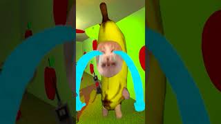 Bananacat unlocks SECRET ROOMS #gmod 😺🍌