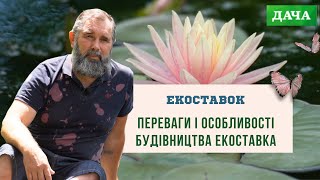 Переваги і Особливості Будівництва Екоставка. Як Правильно Побудувати Ставок?