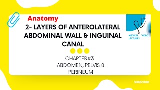 Layers of Anterolateral Abdominal wall & Inguinal canal | CHAPTER#3- ABDOMEN, PELVIS & PERINEUM