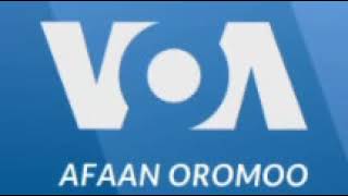 Oduu VOA Afaan Oromo Galgala Wixata Monday 31 January 2022