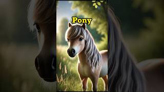 Learn English: Meet the Adorable Pony! 🐴 | Fun Vocabulary for All Ages