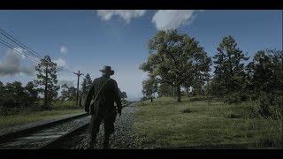 RED DEAD REDEMPTION 2 | Walkthrough Gameplay | Part 1