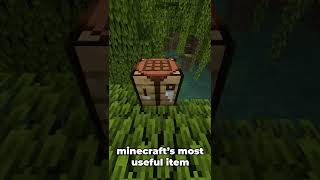 Minecraft's Most USEFUL Item #shorts