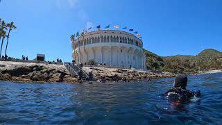 SCDiving | 41st Annual Catalina Harbor Clean Up Scuba Dive