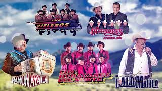 Los Tigres Del Norte, Ramon Ayala, Originales De San Juan, Cadetes De Linares, Cardenales, Intocable