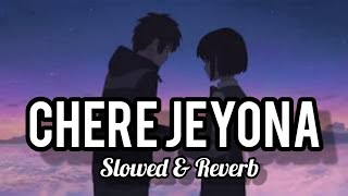 Chere Jeyona- [Slowed & Reverb] | oviman | Extended Version | Tanveer Evan Lofi | #Shariyat_Lofi