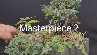 how to make a Bonsai masterpiece for the future