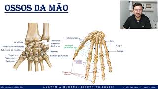 Ossos da mão - Esqueleto apendicular - Sistema esquelético - Anatomia direto ao ponto!