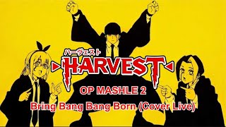 OP Mashle S2 Creepy Nuts - Bring bang bang born Cover Live by Harvest at Event YAMATO DAMASHII XVII