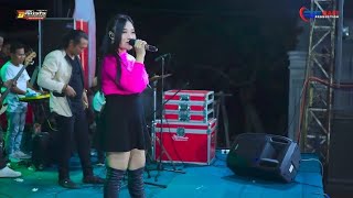 WIRANG / IRNA MARLINA / NEW DEWATA / JEFRI AUDIO / LIVE RINGIN JAJAR MRAGEN