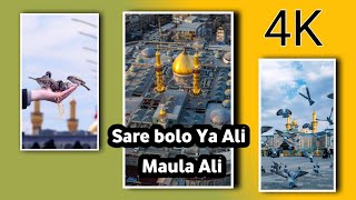 Sare Bolo Ya Ali || Maula Ali || New DJ Qawali 2022 || #viralshorts #maula_ali_status