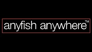 Anyfish Anywhere GB FS pro