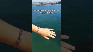 Colgantes, anillos y pulseras de bisuteria en El Rincón del Buzo #mar #oceano #bucear