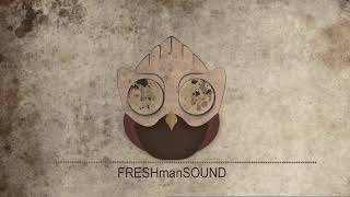 FreshmanSound - Echoes of a Dying Star (Electronic Orchestral Hybrid Cinematic Inspiring)