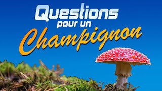 Soirée visioconférence - Questions pour un champignon