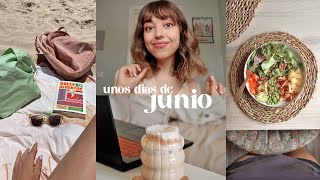 weekly junio l nueva lectura, desayunos nuevos, día de playa, y iced lattes :)