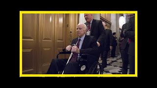 John mccain returns to arizona after cancer treatment