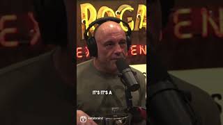 Joe Rogan on Carnivore - Ketones as Nootropics! #ketonesforfuel #focus