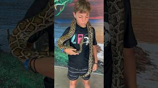 I held a Python in Phuket Thailand! #shorts #python #snake #phuket #thailand