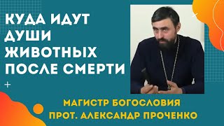 Есть ли ДУША у ЖИВОТНЫХ и КУДА ОНИ ПОПАДАЮТ ПОСЛЕ СМЕРТИ. Прот. Александр ПРОЧЕНКО