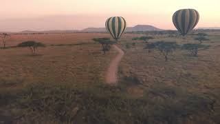 African Safari : Kenya with Tanzania