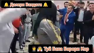 Туйи Баха Барори Кор да Питер