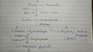 Biochemistry unit-1#Bsc Nursing 2nd  semester#Glycolysis cycle#Creb's or TCA cycle#energy production