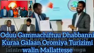 Oduu Gammachiftuu Dhabbata Kuraa Galaan