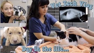 Day In The Life of a Vet Tech | Vet Tech Vlog | Veterinary Technician