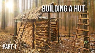 Building a hut in the forest. First experience. Part 1.