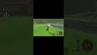 Link Chasing a NPC - Zelda: Tears of the Kingdom