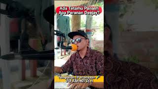 Tetamu Majlis Perkahwinan Naik Angin!! Panas 🔥 | Peranan Deejay